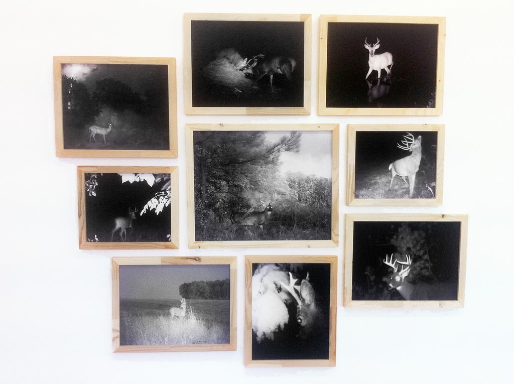 Vorschaubild der Arbeit DEER CROSSING